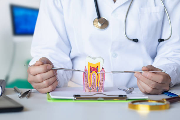 Best Emergency Denture Repair in New Holstein, WI
